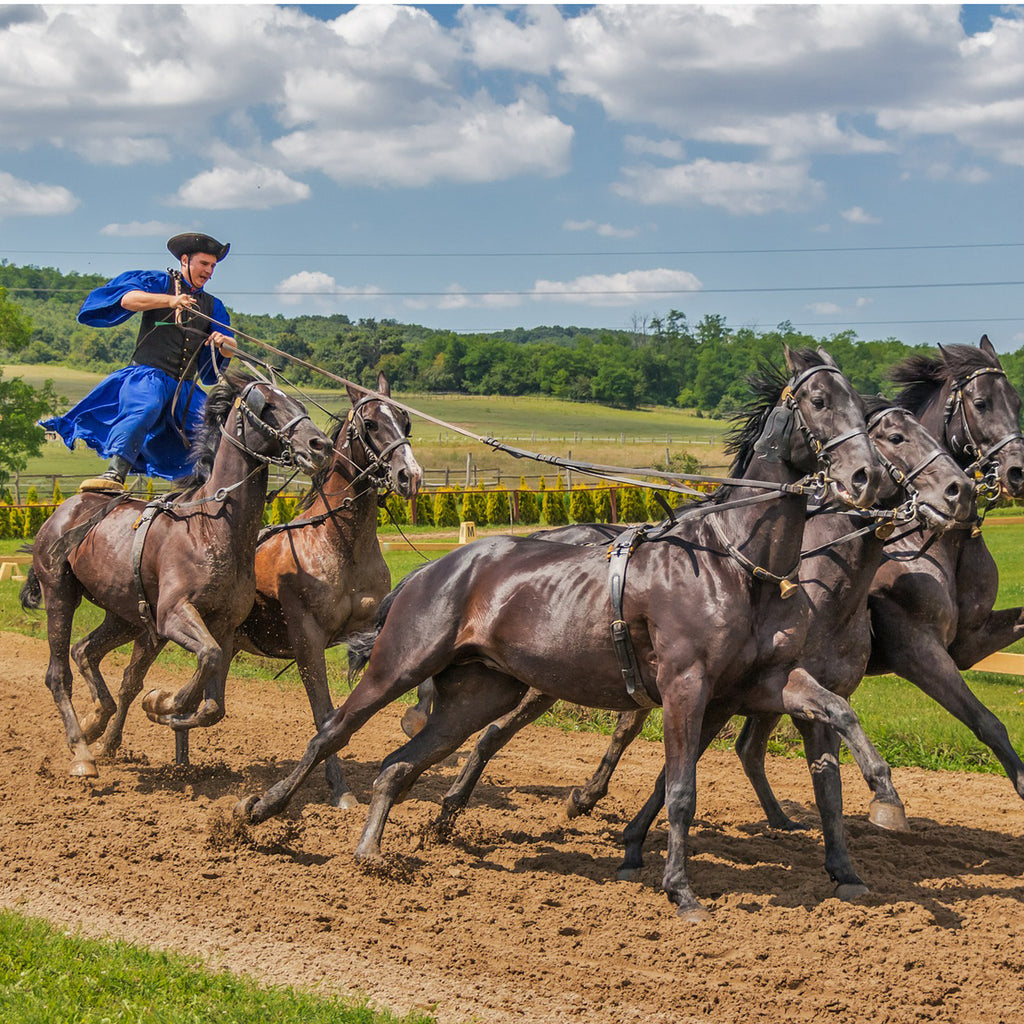 コードバンにホースハイド、革ジャンや靴など馬革は男らしい